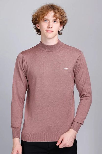 Solid Onion Turtleneck Men Sweater