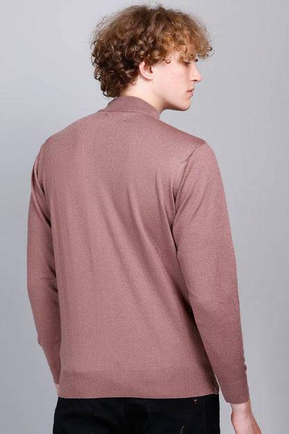 Solid Onion Turtleneck Men Sweater