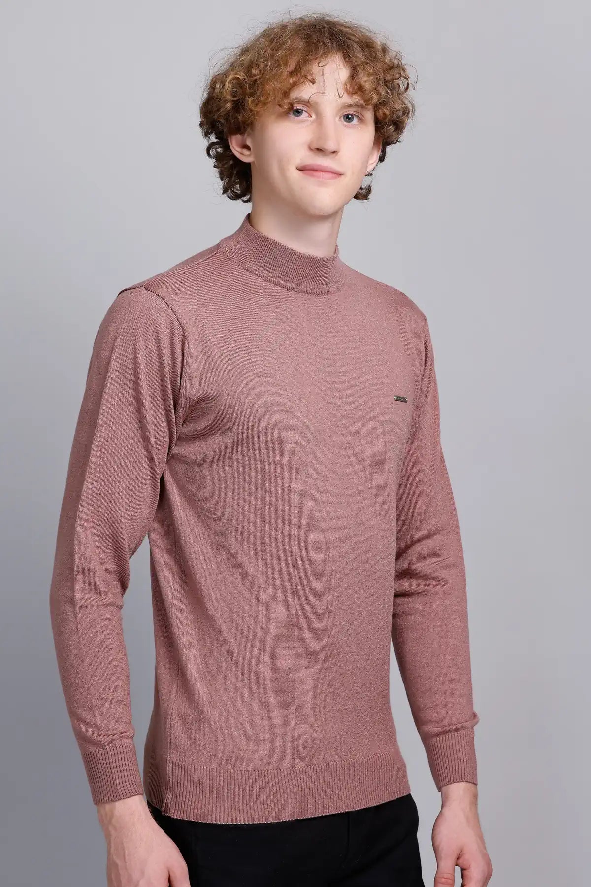 Solid Onion Turtleneck Men Sweater