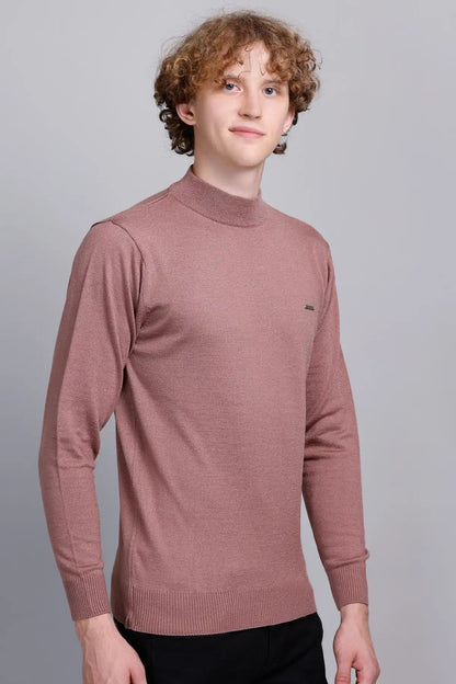 Solid Onion Turtleneck Men Sweater