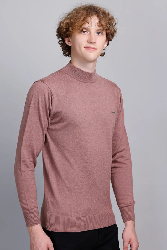 Solid Onion Turtleneck Men Sweater